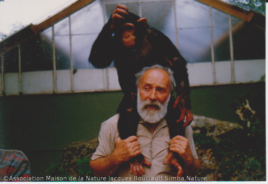 https://www.jacques-bouillault.com/wp-content/uploads/2011/11/Simba-et-Chimpanse-1.jpg